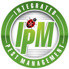 IPM logo