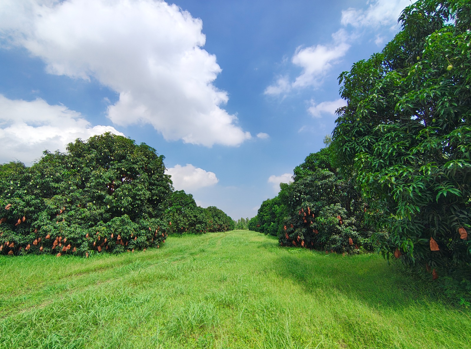 Utkrisht Krishi, farmer training and field operations