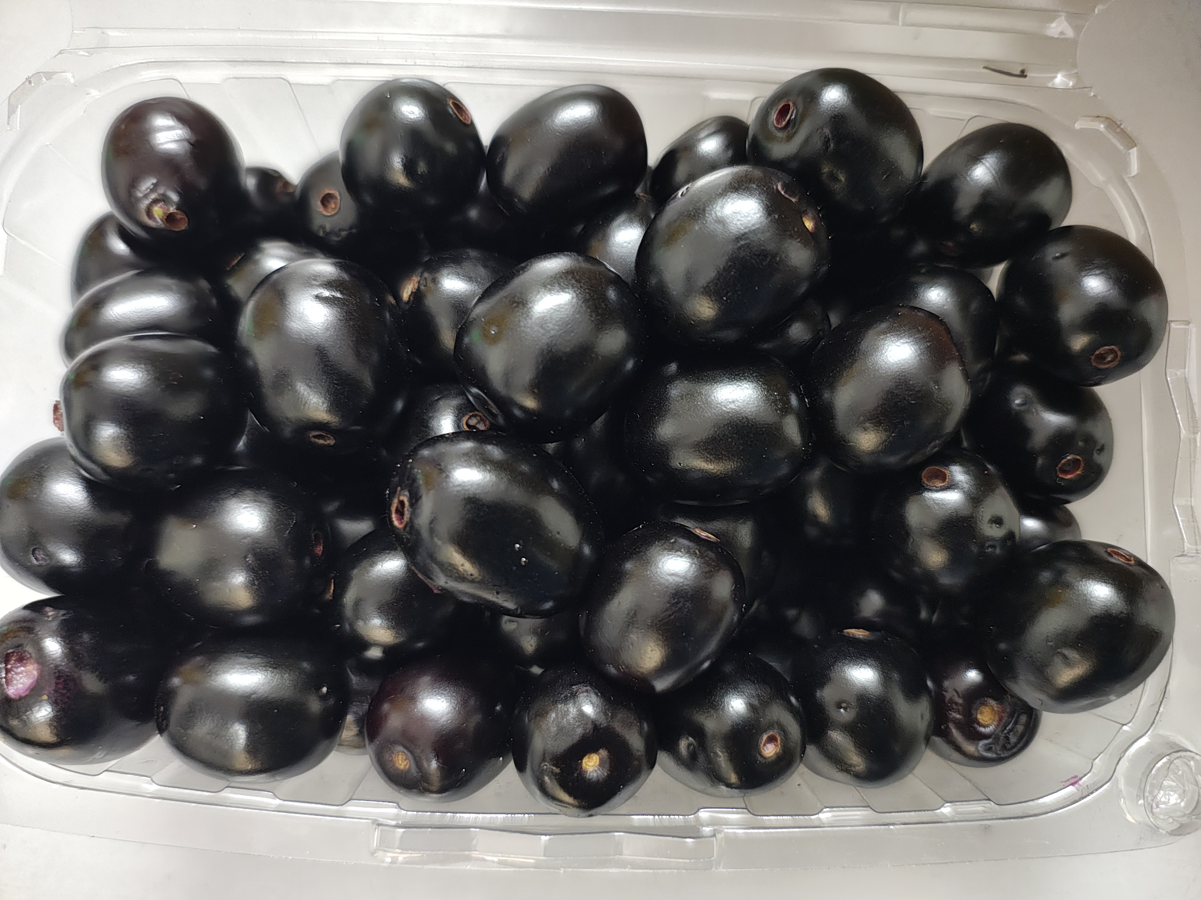 Jamun